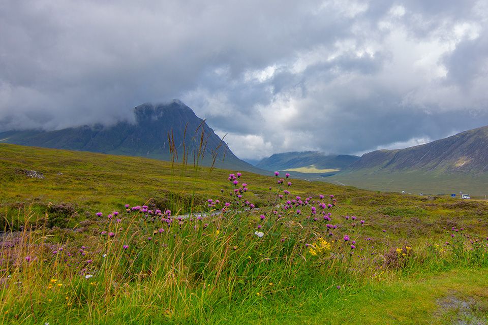 Glencoe